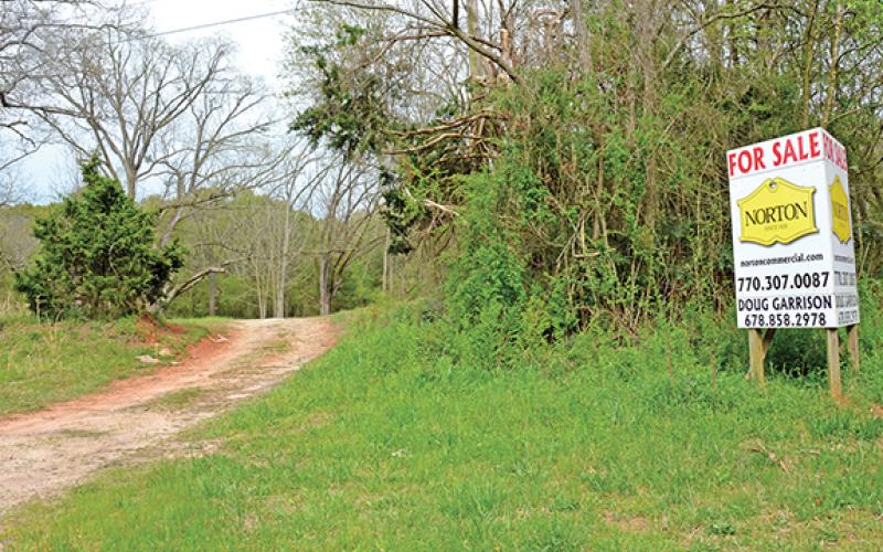 The property is is about 124.73 acres of undeveloped land at 5670 State Road 145 just outside the city limits of Carnesville.
