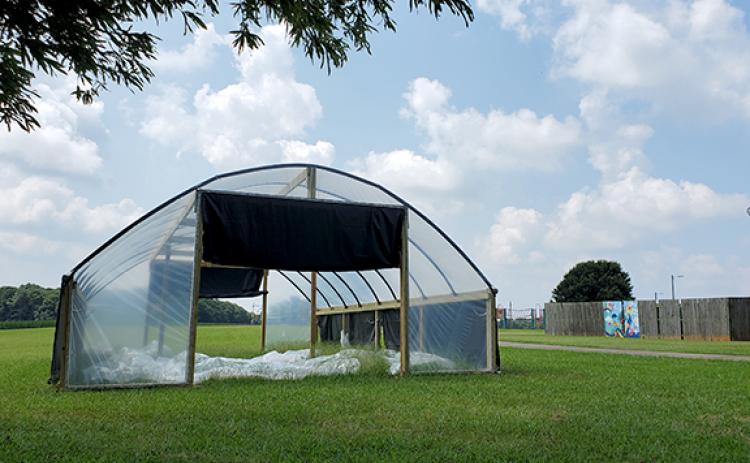 One thing students can look forward to this school year is a new greenhouse for learning opportunities at Lavonia Elementary School. Teacher Tracey King got a grant for the project, and has been preparing the greenhouse, located at the back of the school. (Photo by Sinclair)