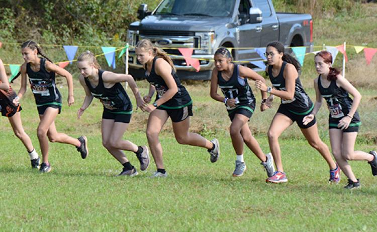 Franklin County Lady Lions (from left) Tiana Drake, Alyssa Millwood, Kadyn Crowe, Lucia Limas, Candace Moore and Elizabeth Laird will run in the state cross-country meet Nov. 5-6 in Carrollton after taking fourth place as a team in the Region 8AAA meet Wednesday in Carnesville. (Photo by Scoggins)
