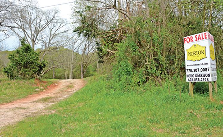 The property is is about 124.73 acres of undeveloped land at 5670 State Road 145 just outside the city limits of Carnesville.
