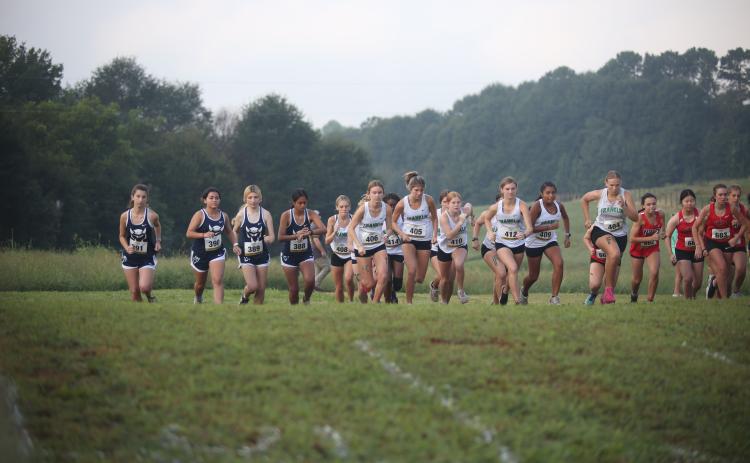 Franklin County’s cross-country Lions and Lady Lions are turning the Bill “Woody” Woods Pridelands Invitational into an annual showcase of the program itself.