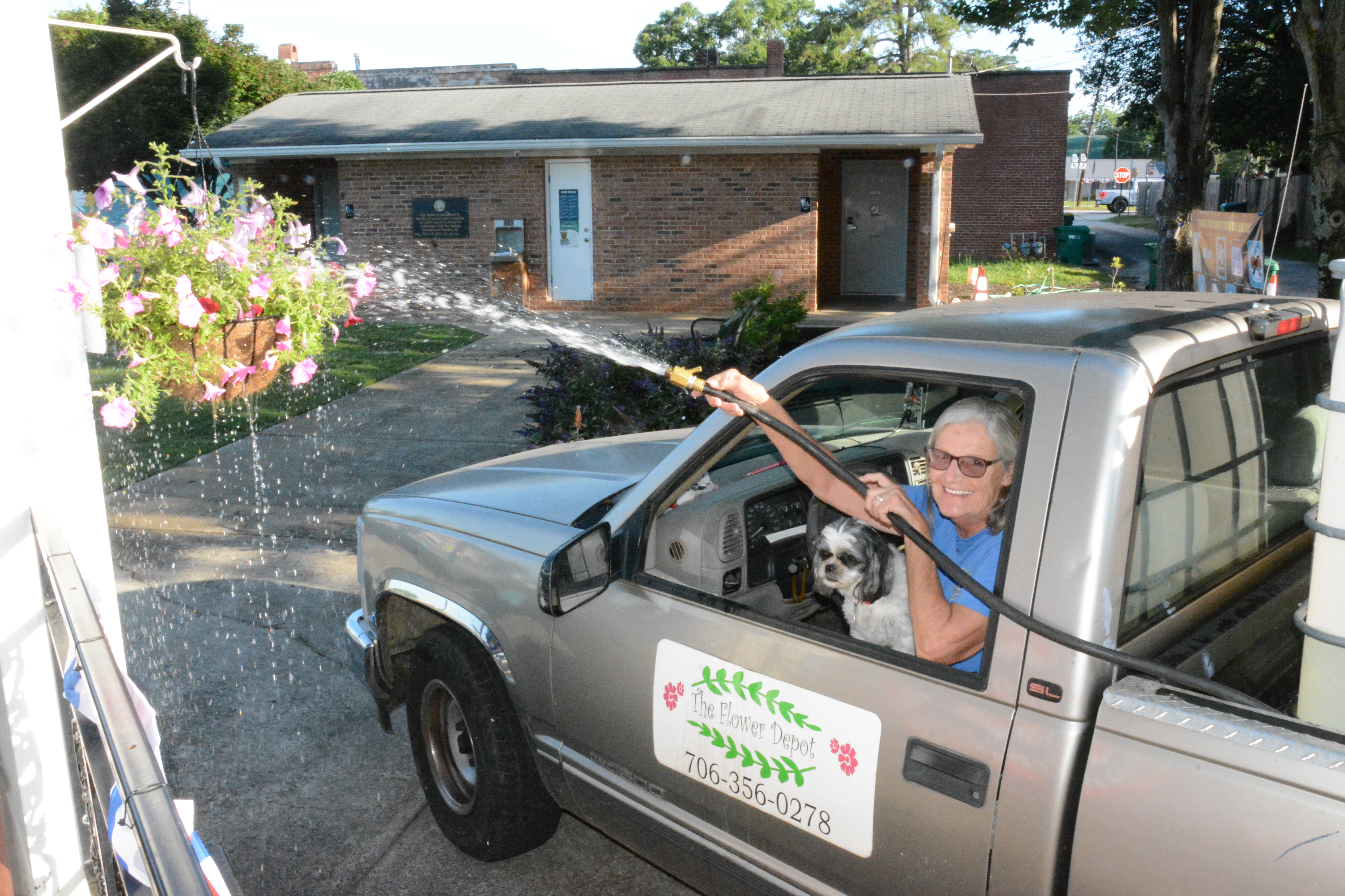 Diane Holmes can water most of Lavonia’s hanging baskets and flower pots from her truck with the help of her little dog, Dottie. (Photos by Charlie Eavenson)