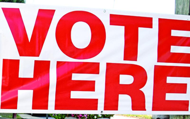 A group of Lavonia citizens are spearheading a get out the vote drive.