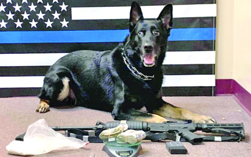 Max, of the Franklin County Sheriff's Office K-9 Unit, sniffed out drugs that led to multiple charges following a traffic stop on I-85.