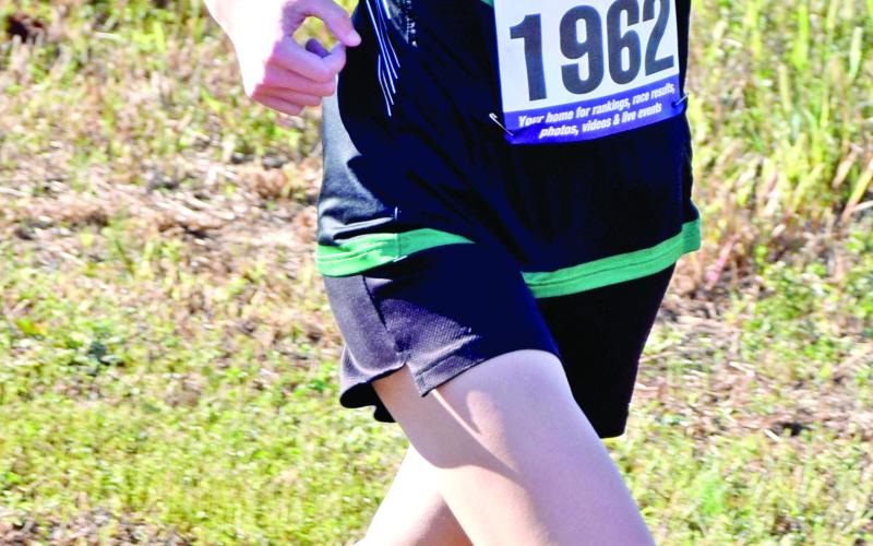 Lady Lion Gracie Woods qualified to run in the state cross-country meet with a fifth-place overall finish in Region 8AAA.