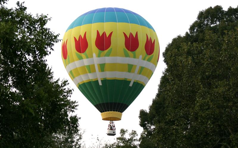 Entertainment at the first-ever Renaissance Festival Saturday in Lavonia will include the Carpenter Academy of Irish Dance, Twister the Clown, a petting zoo and, weather permitting, hot air balloon rides.