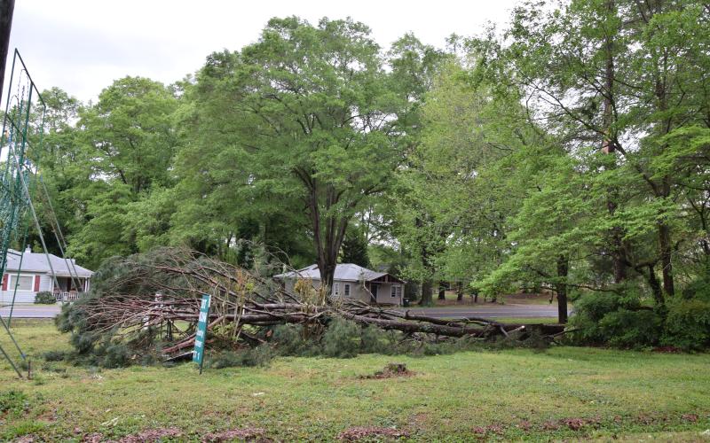 A tree that fell in the Carnesville city limits damaged some signs. It was one of many trees felled during storms overnight Sunday into Monday. The northern part of the county, including the Gumlog area, was hit hard by high winds and a possible tornado.