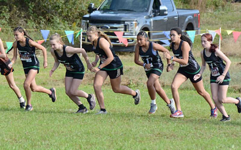Franklin County Lady Lions (from left) Tiana Drake, Alyssa Millwood, Kadyn Crowe, Lucia Limas, Candace Moore and Elizabeth Laird will run in the state cross-country meet Nov. 5-6 in Carrollton after taking fourth place as a team in the Region 8AAA meet Wednesday in Carnesville. (Photo by Scoggins)