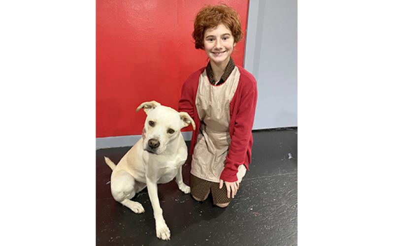 Mia Patterson as Annie and Zelda as Sandy the Dog will be on stage this weekend at the Lavonia Cultural Center for Franklin Community Player's production of "Annie."