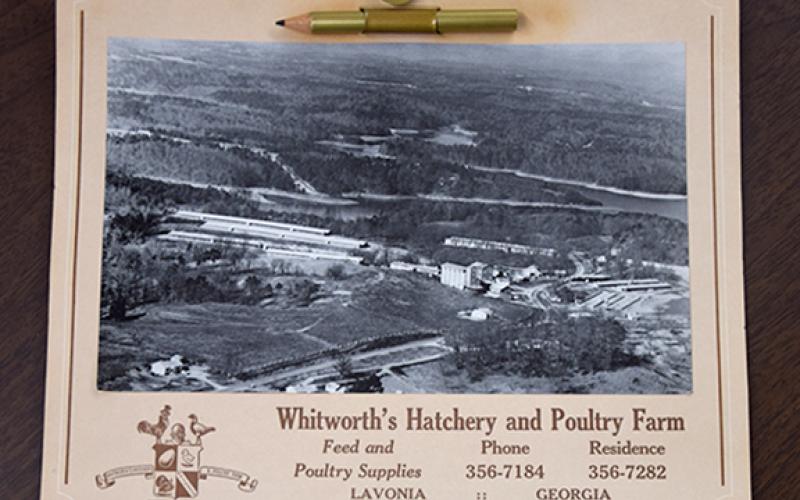 Denise Blakely brought by a calendar from 1977 distributed by Whitworth’s Hatchery and Poultry Farm in Lavonia. The calendar included a photo of the business (shown above) and still had the original pencil attached to write down important events. Whitworth’s Hatchery and Poultry sold feed and poultry supplies as well. To submit photos for future editions of Franklin Echoes, email fcc@franklincountycitizen.com or bring them by the newspaper office at 12150 Augusta Road in Lavonia.
