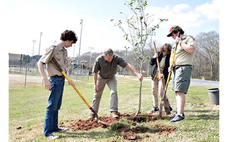 John Shearhouse helps Scouts place the tree that was planted at the ballpark in Lavonia. (Photo by Sinclair)