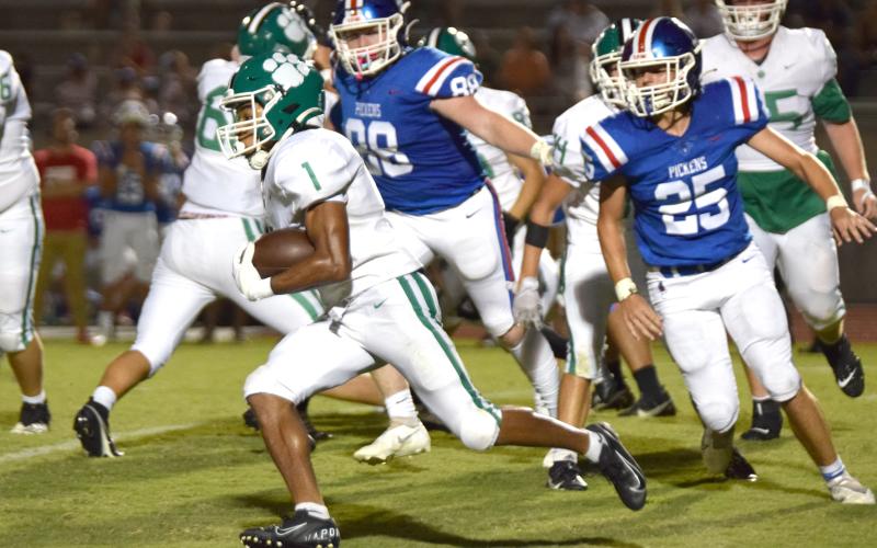 Jeloni Johnson earned All-Region 8AAA honors.