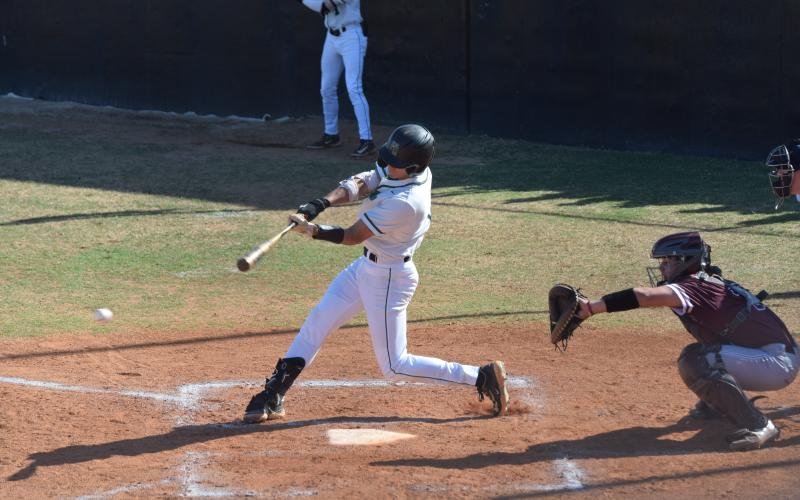 Four Franklin County Lion Baseball players were named to the Class AAA All-State Team by the Georgia Dugout Club.