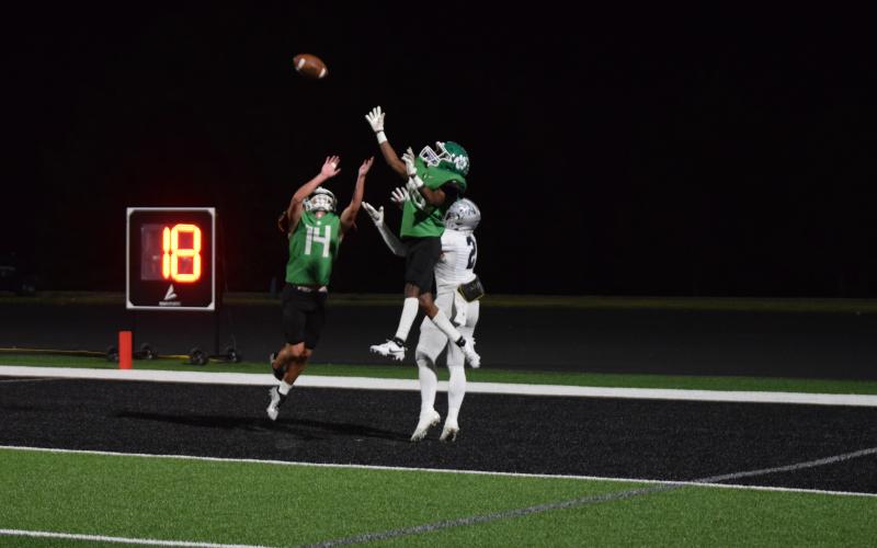 The Franklin County/East Jackson Homecoming game Friday night had plenty of action on the field from the Franklin County Lions and in the stands from the student section Rude Crew.