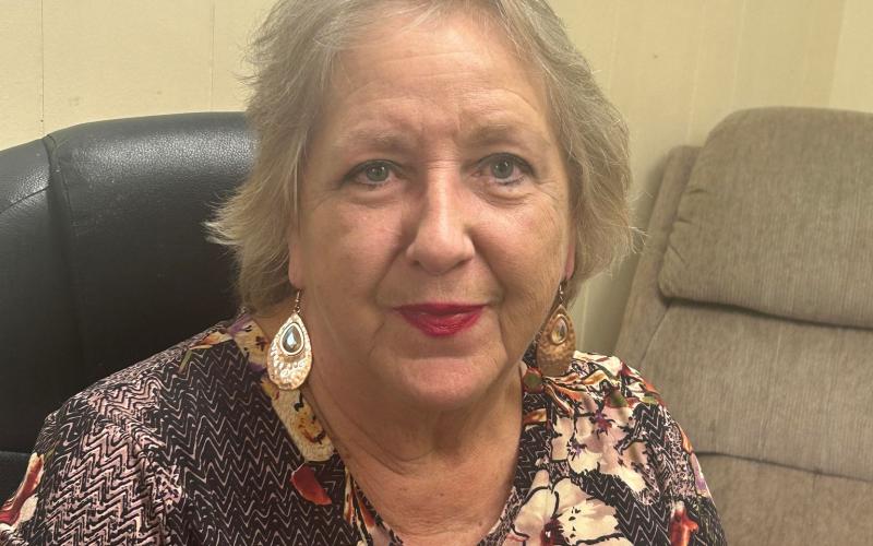 Author Vallorie Wood’s newest book, “Royston,” is a fictional story about a detective who joins the Royston Police Department and investigates a murder.