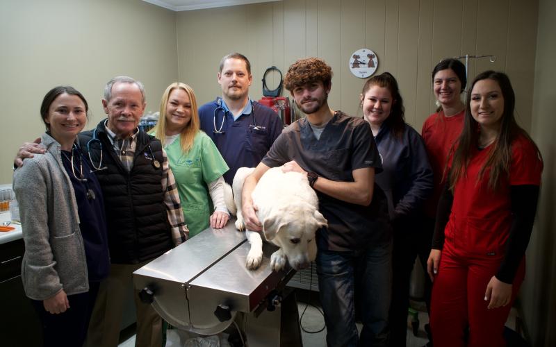 Dr. Patrick Hitchcock and Lavonia Animal Hospital will celebrate 50 years in business in 2024.