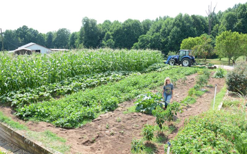 Connie Cowart says she caught the gardening bug from her grandfather who continued growing things well into his 80’s. This week she was pleased to see that her silver queen corn has finally shown signs of silk on the ears. Cowart and other Franklin County gardeners shared their stories in light of “National Weed Your Garden Day” last week.