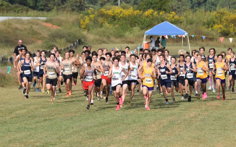 MileSplit Georgia, the leading website for track and cross country in the state, likes the Franklin County Lions and Lady Lions a lot.