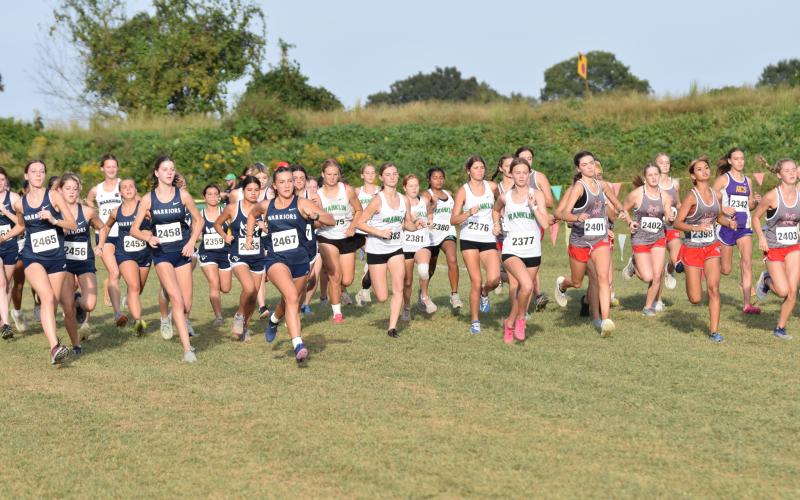 MileSplit Georgia, the leading website for track and cross country in the state, likes the Franklin County Lions and Lady Lions a lot.