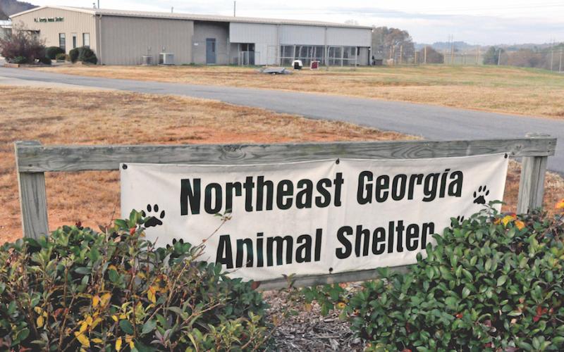 The Northeast Georgia Animal Shelter is under a two-week quarantine due to the Parvo virus.