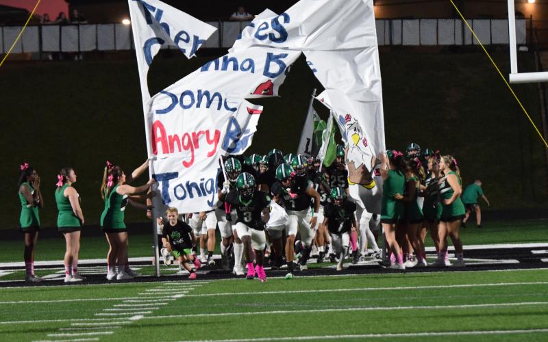 Franklin County’s 29-21 loss Friday night to the East Jackson Eagles, disappointing though it may have been, showed how far the Lion football program has come.