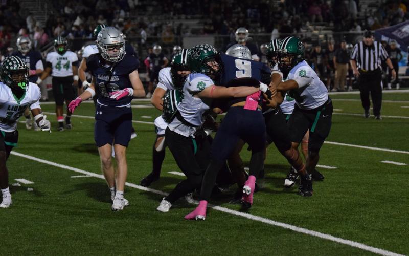 The No. 5-ranked Prince Avenue Christian School Wolverines will come to Carnesville Friday to face the Lions with second place in the Region 8AA standings on the line.
