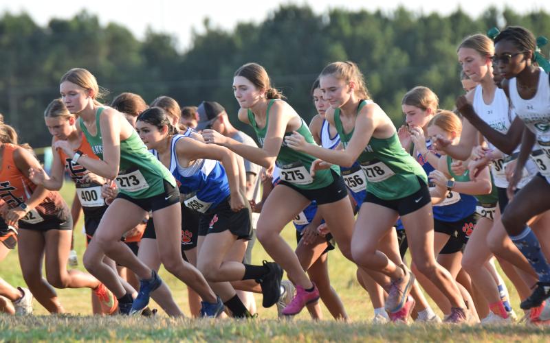 The Lions and Lady Lions will host the Jan Taylor Invitational Oct. 16 beginning at 5 p.m. at the Bill Woods Pridelands Course on High Road near FCHS in Carnesville.