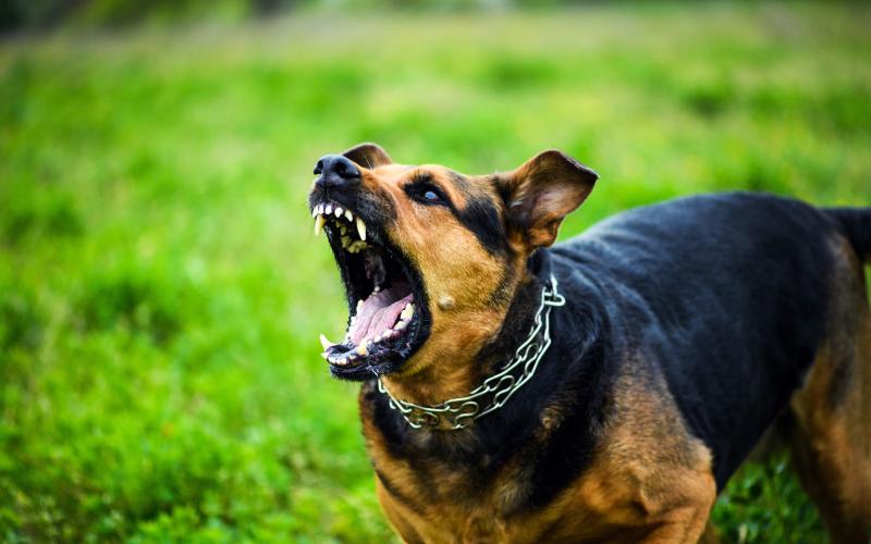 A Franklin County Animal Control Ordinance gained final, unanimous, approval Monday night.