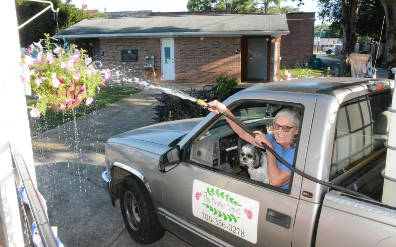 Diane Holmes can water most of Lavonia’s hanging baskets and flower pots from her truck with the help of her little dog, Dottie. (Photos by Charlie Eavenson)