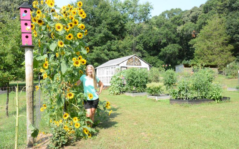 Casey Ramey and her husband Hank have two greenhouses, raised beds of vegetables, fruit trees, bee hives, dwarf Nigerian goats and a nice stand of sunflowers on their 40-plus-acre farm in Carnesville. (Photo by Charlie Eavenson)