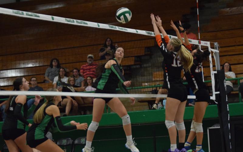 Anna Weathers spikes a ball for a point against Hart County Tuesday in the Lion’s Den. (Photo by Shane Scoggins)