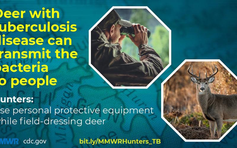 Deer TB Graphic