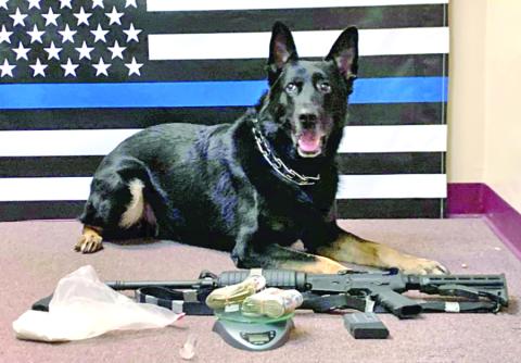 Max, of the Franklin County Sheriff's Office K-9 Unit, sniffed out drugs that led to multiple charges following a traffic stop on I-85.