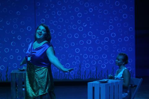 The Franklin Community Players’ (FCP) production of “The Little Mermaid” will be on stage for four performances this weekend at the Lavonia Cultural Center. 