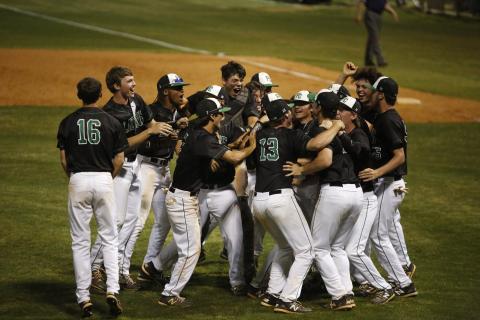 The Franklin County Lions celebrate their berth in the Class AAA state championship game after sweeping Appling County Saturday at FCHS.