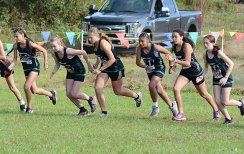 Franklin County Lady Lions (from left) Tiana Drake, Alyssa Millwood, Kadyn Crowe, Lucia Limas, Candace Moore and Elizabeth Laird will run in the state cross-country meet Nov. 5-6 in Carrollton after taking fourth place as a team in the Region 8AAA meet Wednesday in Carnesville. (Photo by Scoggins)