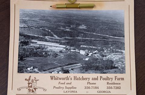 Denise Blakely brought by a calendar from 1977 distributed by Whitworth’s Hatchery and Poultry Farm in Lavonia. The calendar included a photo of the business (shown above) and still had the original pencil attached to write down important events. Whitworth’s Hatchery and Poultry sold feed and poultry supplies as well. To submit photos for future editions of Franklin Echoes, email fcc@franklincountycitizen.com or bring them by the newspaper office at 12150 Augusta Road in Lavonia.