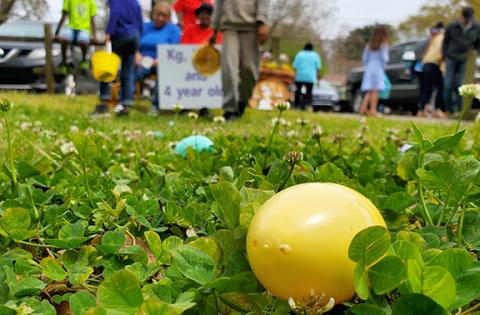 Canon, Lavonia and Royston have all planned egg hunts for April 16.