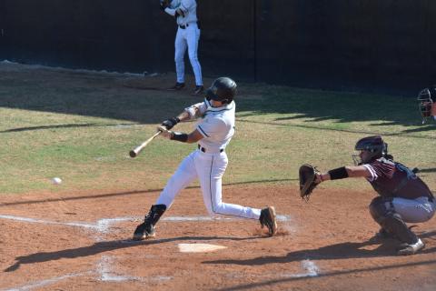 Four Franklin County Lion Baseball players were named to the Class AAA All-State Team by the Georgia Dugout Club.
