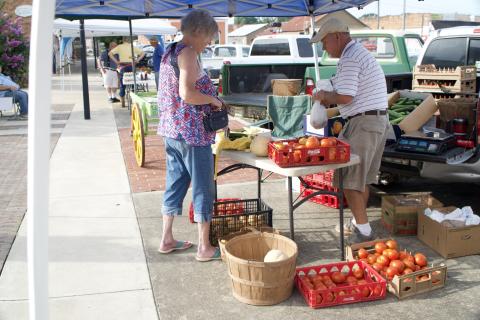 Some farmers use green houses to grow produce sold at farmers markets in Lavonia and Royston each year, while others just bring the excess from their gardens. (Photo by Raese)