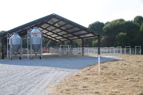 The large animal barn includes cattle pens with attached runs and a practice arena.