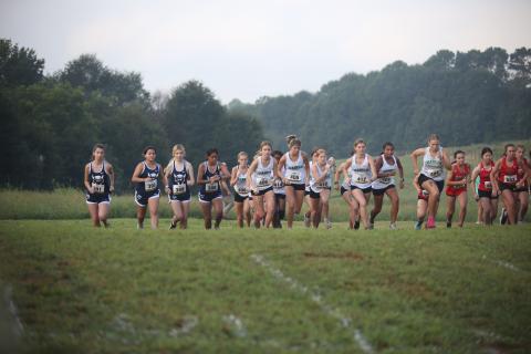 Franklin County’s cross-country Lions and Lady Lions are turning the Bill “Woody” Woods Pridelands Invitational into an annual showcase of the program itself.