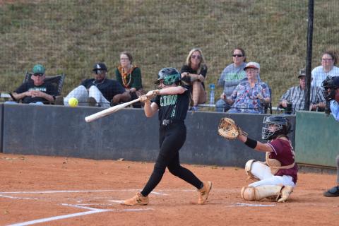 The state fastpitch softball playoffs begin Monday.  The Franklin County Lady Lions will be in the field, either as a host of a super regional or on the road at the Region 7AAA champion’s field.