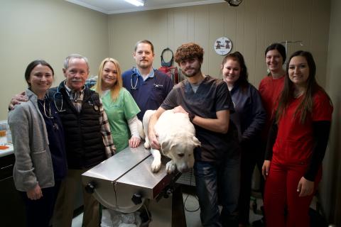 Dr. Patrick Hitchcock and Lavonia Animal Hospital will celebrate 50 years in business in 2024.