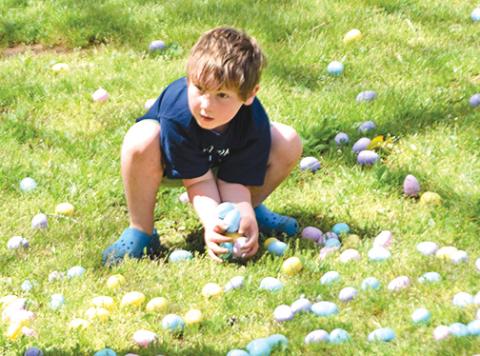 Carnesville will hold the first city Easter Egg Hunt of the season Sunday at 2 p.m. at the city park.