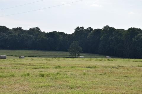 State Sen. Bo Hatchett has announced that the Senate Study Committee on Preservation of Georgia’s Farmlands will hold its second meeting at Habersham EMC in Clarkesville Aug. 30 beginning at 10 a.m. 