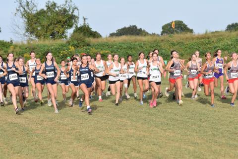 MileSplit Georgia, the leading website for track and cross country in the state, likes the Franklin County Lions and Lady Lions a lot.