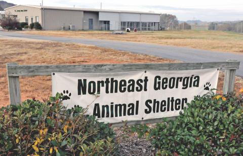 The Northeast Georgia Animal Shelter is under a two-week quarantine due to the Parvo virus.