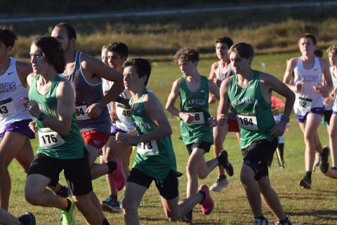 The Franklin County Lion and Lady Lion cross country teams will line up early Saturday morning against 24 other public schools from north Georgia.