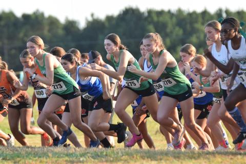 The Lions and Lady Lions will host the Jan Taylor Invitational Oct. 16 beginning at 5 p.m. at the Bill Woods Pridelands Course on High Road near FCHS in Carnesville.